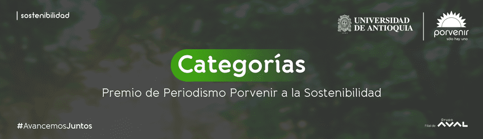 Categorías Premio Periodismo